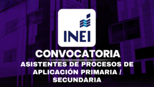 CONVOCATORIA INEI ENLA 2025: (88) APA - Asistentes de Procesos de Aplicación Primaria / Secundaria